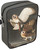 Barn Owl, Tyto Alba