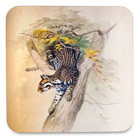 Podkładka pod kubek Ocelot Joseph Wolf