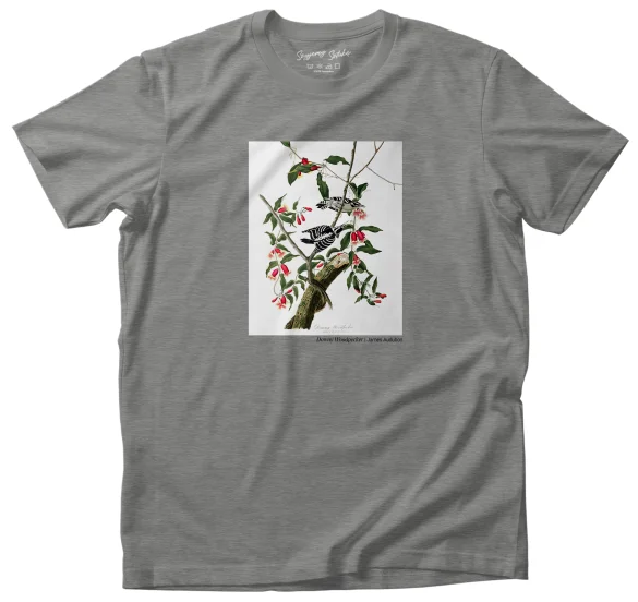 Koszulka z nadrukiem Downy Woodpecker James Audubon