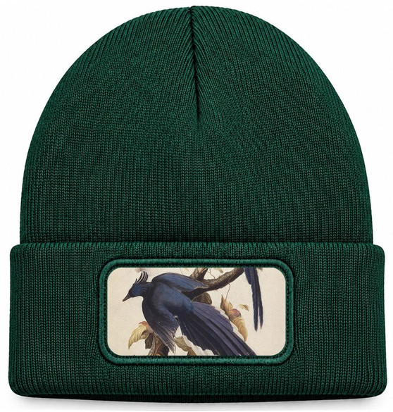 Czapka zimowa Magpie Jay James Audubon – zielona
