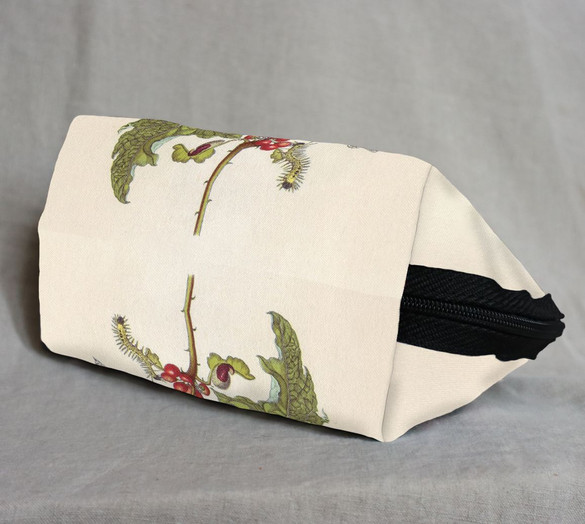 Kosmetyczka Metamorfoza owadów Surinamensium Maria Sibylla Merian