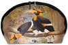 Concave casque Hornbill