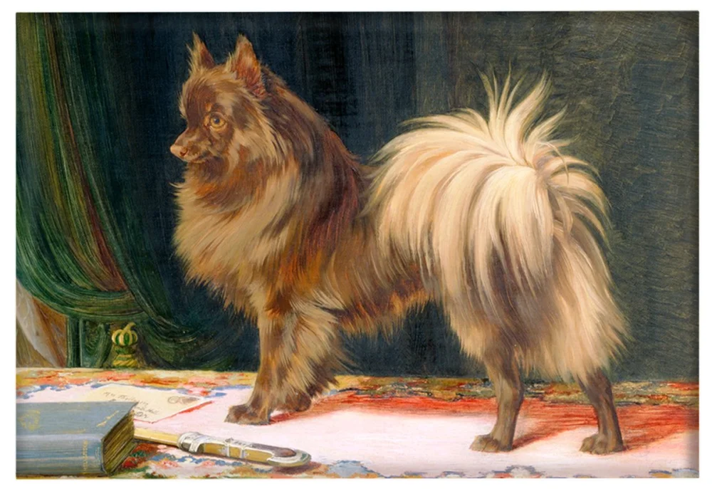 Magnes Portret Księcia Prerii William Henry Hamilton Trood