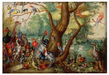 Magnes Koncert Ptaków Jan van Kessel (starszy)