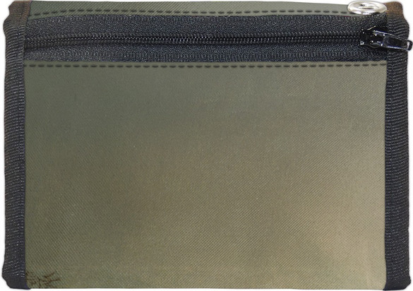 Portfel Studium głowy kota tabby Louis Wain