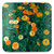 Marigolds