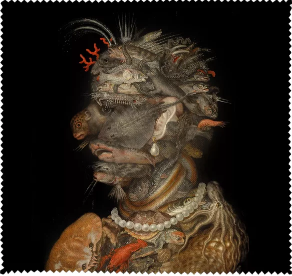 Ściereczka do okularów Woda Giuseppe Arcimboldo