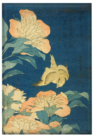 Magnes Kanarek i piwonia Katsushika Hokusai