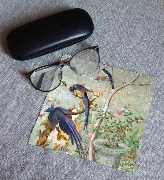 Ściereczka do okularów A pair of magpie jays James Audubon