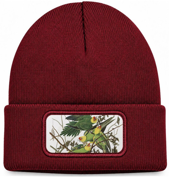 Czapka zimowa Carolina Parakeet James Audubon – bordowa