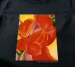 Bluzka damska czerwona kanna Georgia O’Keeffe