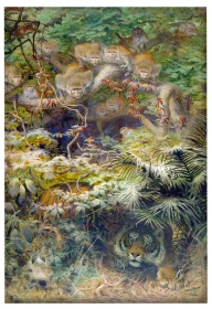 Magnes Row in the Jungle Joseph Wolf