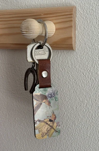 Brelok A Yellow Shafted Flicker James Audubon