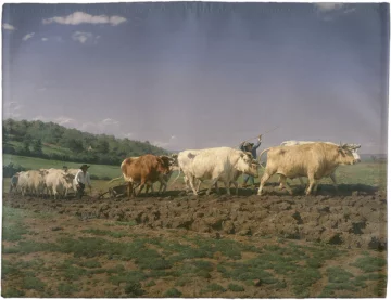 Podkładka na stół Orka w Nivernais Rosa Bonheur