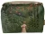 Woman Walking in an Exotic Forest