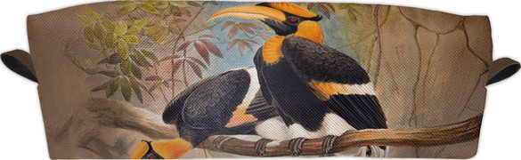 Piórnik Concave casque Hornbill Joseph Wolf