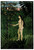 Eve