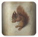 Podkładka pod kubek Czerwona wiewiórka Hans Hoffmann