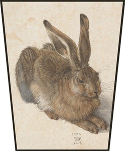 Ekran Młody zając Albrecht Dürer