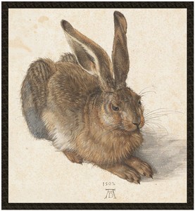 Naszywka Młody zając Albrecht Dürer