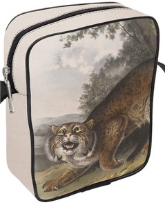 Torba listonoszka Common American Wildcat James Audubon